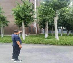 说明: c00ea98a6e9cdb9b7646f767dcc4dbd